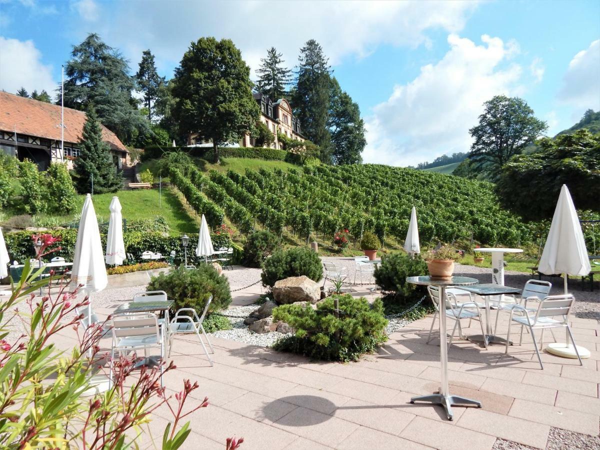 Wein Lodge Durbach - Schlossblick Екстер'єр фото
