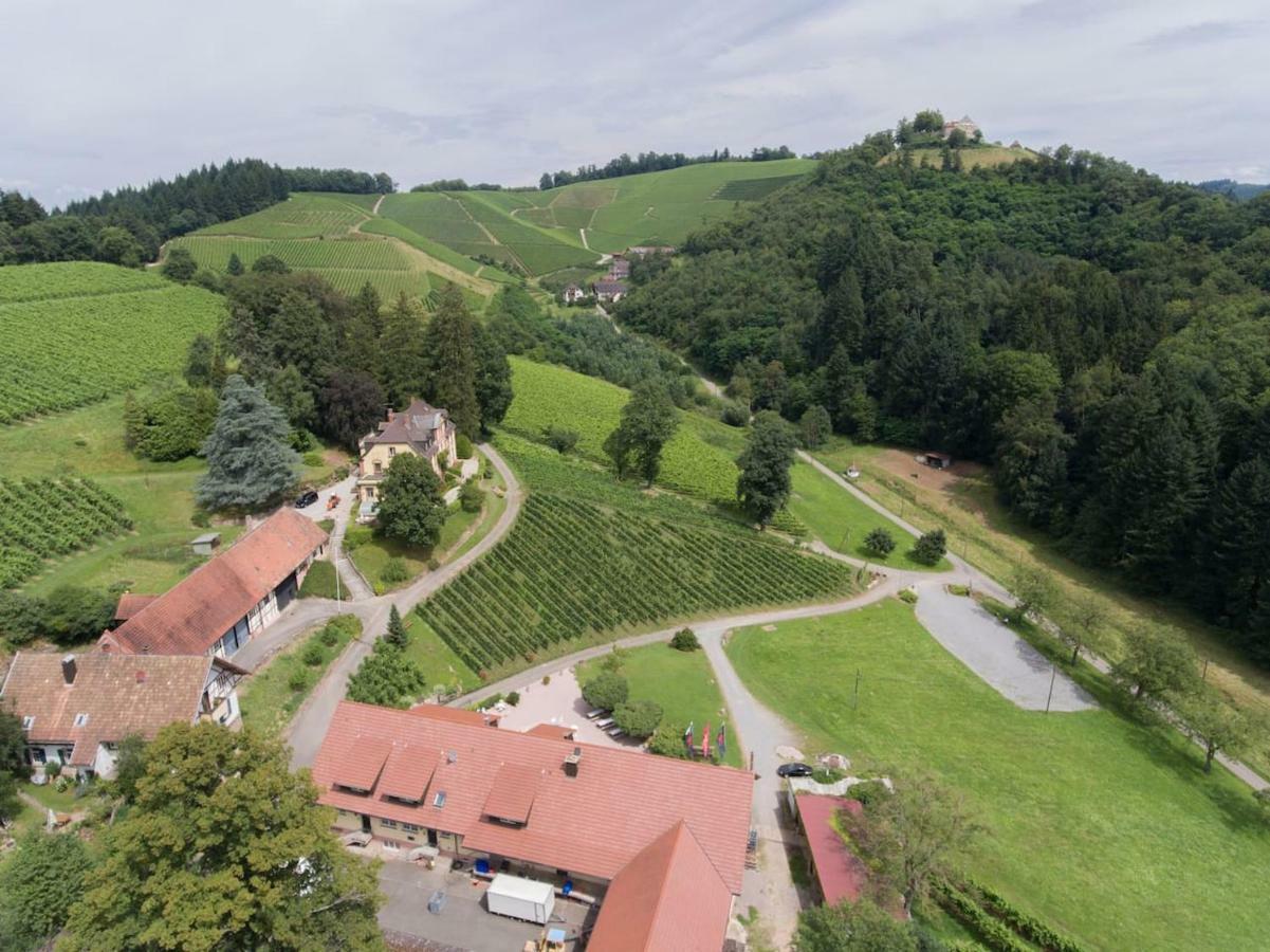 Wein Lodge Durbach - Schlossblick Екстер'єр фото